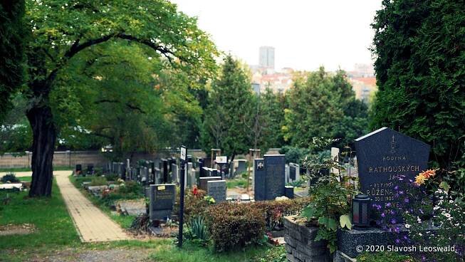 Vršovický hřbitov | Večerní Praha
