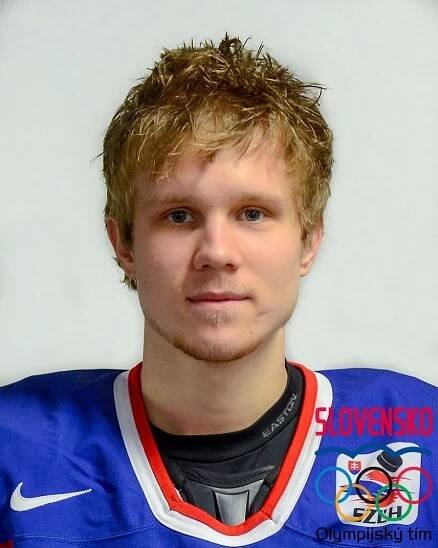 Hokej - 