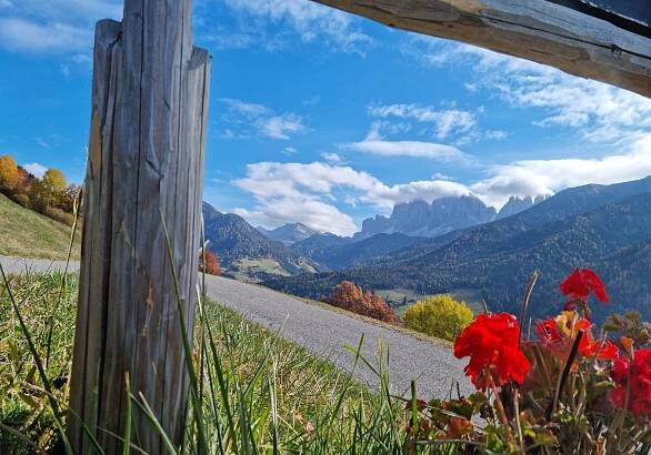 Ausblicke vom Miglanzhof im Sommer
