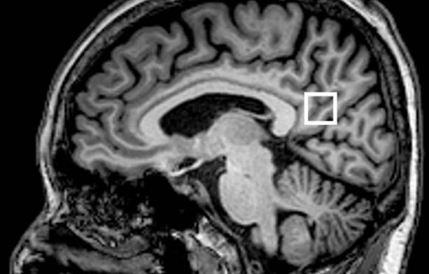 Ve 41 letech mu diagnostikovali Alzheimerovu chorobu. Teď učitel šíří osvětu a VARUJE před tichými příznaky, které sám ignoroval!