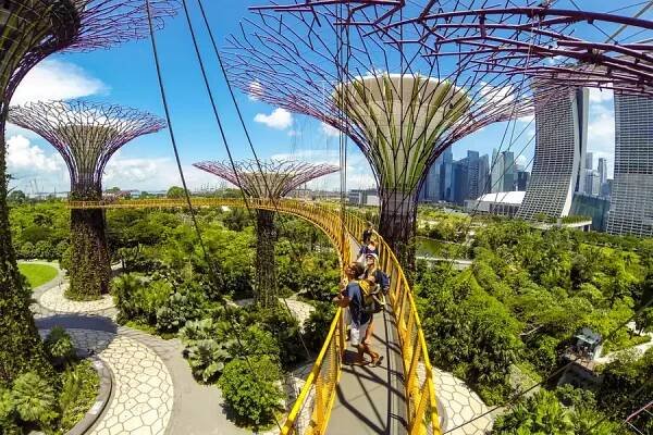 Top 5 Attractions to Visit at Garden By The Bay - Rediscover Singapore