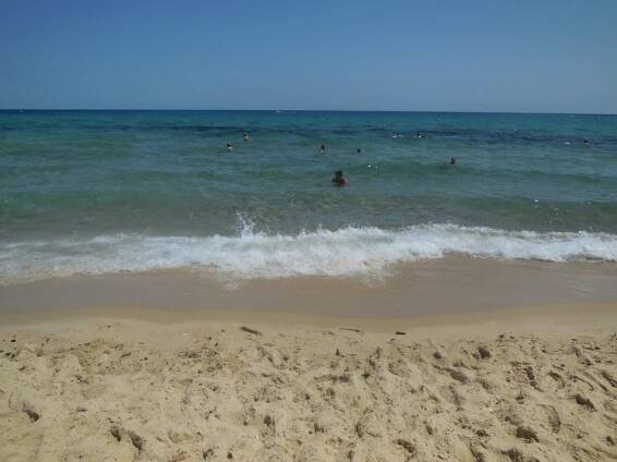 Hotel Safa recenzie (Hammamet, Tunisko pevnina) » Recenzie hotelov