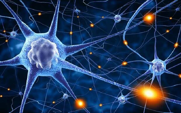 Podcast: Neuroplasticita jako schopnost mozku měnit se