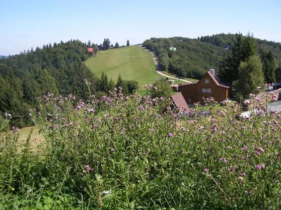 Lysá pod Makytou - Kohútka | Trenčín región