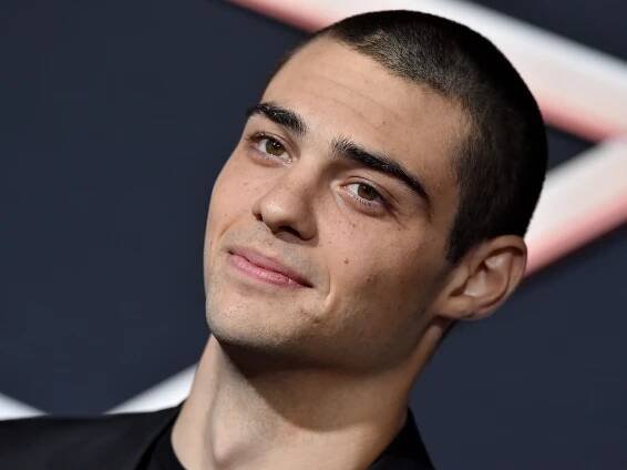 Noah Centineo and Rashad Robinson on Defeat by Tweet, Activism, and 2020