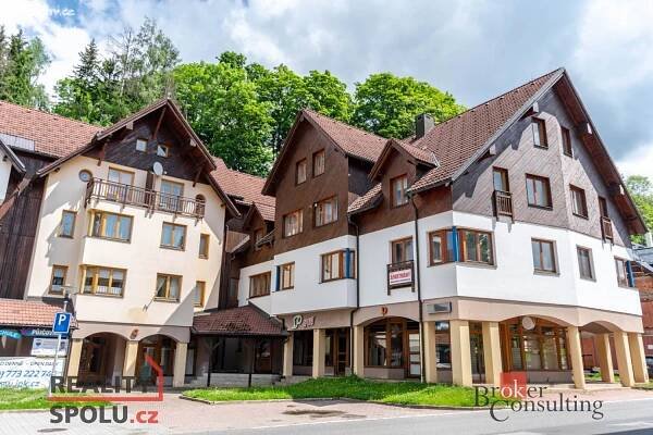 Pronájem Byt 1+kk, Rokytnice nad Jizerou - Horní Rokytnice, okres Semily