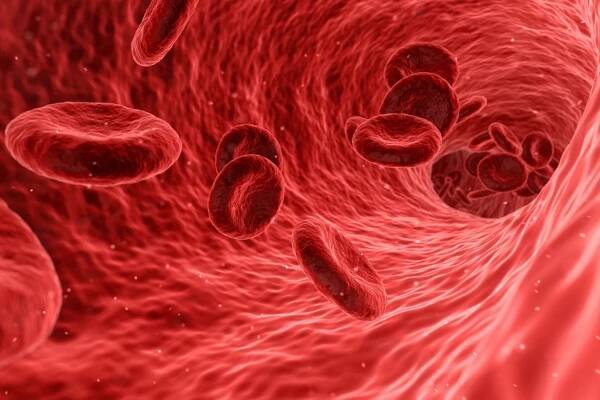Anemia Woes - Upping Hemoglobin Lows