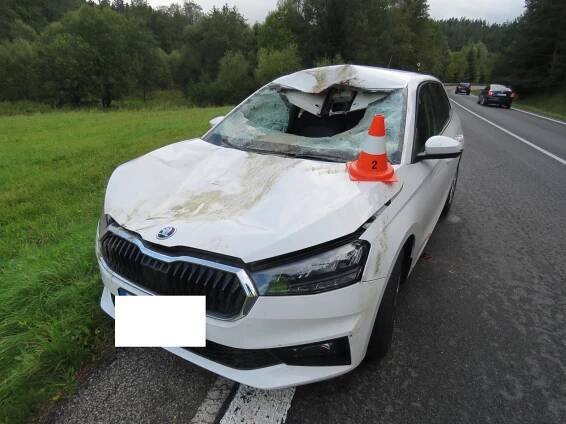 Srážka s jelenem zdemolovala Škodu Fabia. 82letý řidič skončil v nemocnici