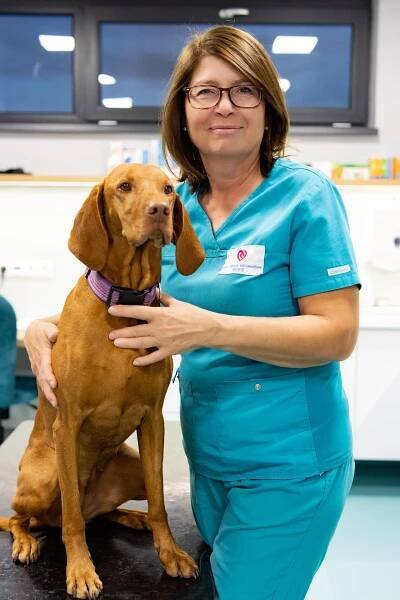 MVDr. Bibiana Miklošovičová - Veterinárna Klinika Pezinok