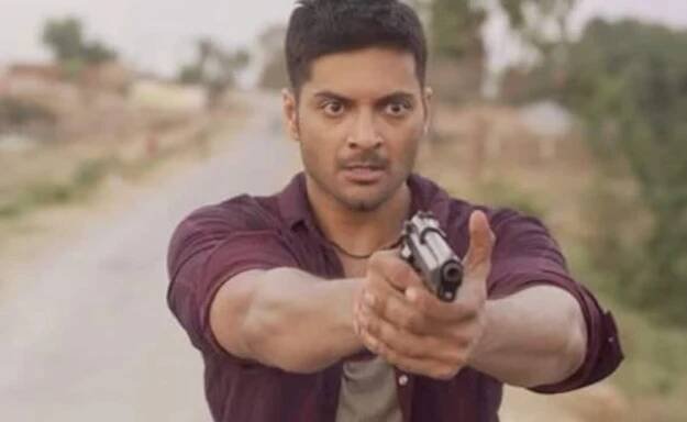 Will Mirzapur Series Come To An End With Season 4? Ali Fazal Drops Hints