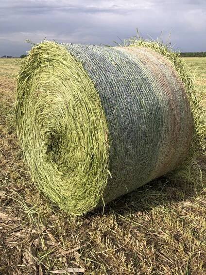 Hay for Sale in Central Illinois — Arete Ag
