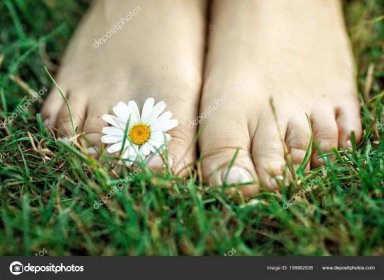 Bosé nohy s daisy na zelené trávě — Stock Fotografie © erstudio #199882538