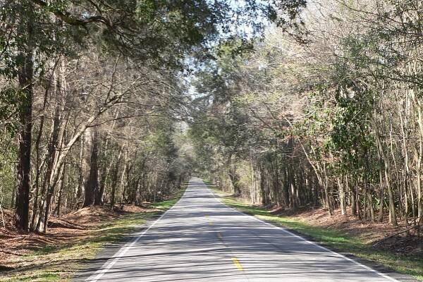 South Carolina Highway 61 - Wikipedia