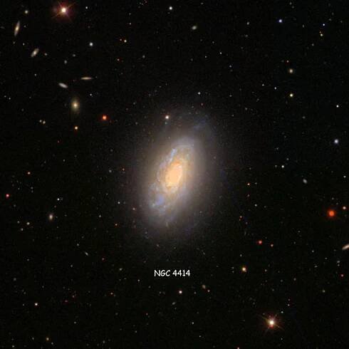 SDSS image of region near spiral galaxy NGC 4414
