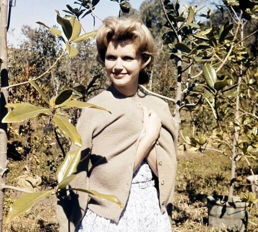 Hollywood Legends Lee Remick & Jack Lemmon’s Secrets - PicTellMe