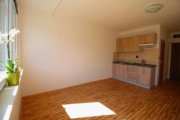 Pronájem bytu 1+kk 22 m², Plzeňská, Ostrava - Zábřeh