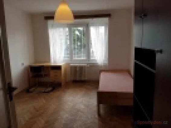 Nabízím místo/pokoj Olomouc-město, , 3.650Kč/měsíc/(osobu)