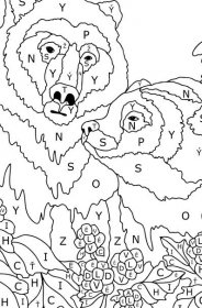 Omalovánka Pár hnědých medvědů - hrát podle písmene pro dospělé