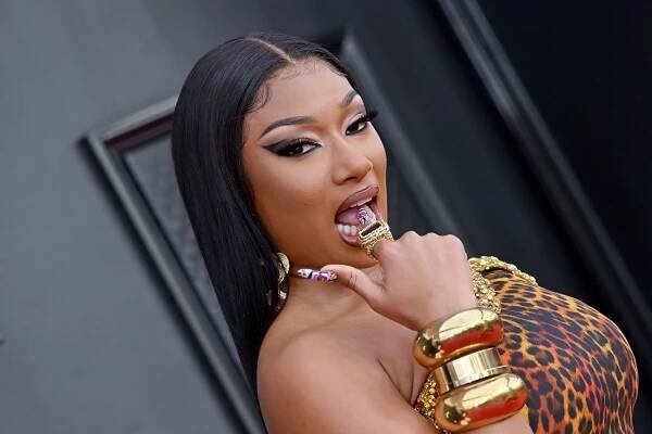 Blink and You'll Miss the Itty Bitty Dice in Megan Thee Stallion's Latest Nail Art — See Photo