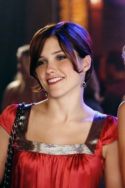 One Tree Hill Reboot: Everything We Know About the Netflix Series Starring Hilarie Burton and Sophia Bush