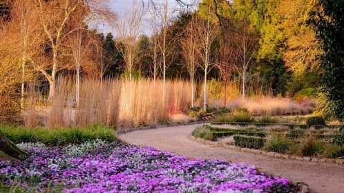The Winter Garden at Wakehurst, Jim Holden © RBG Kew