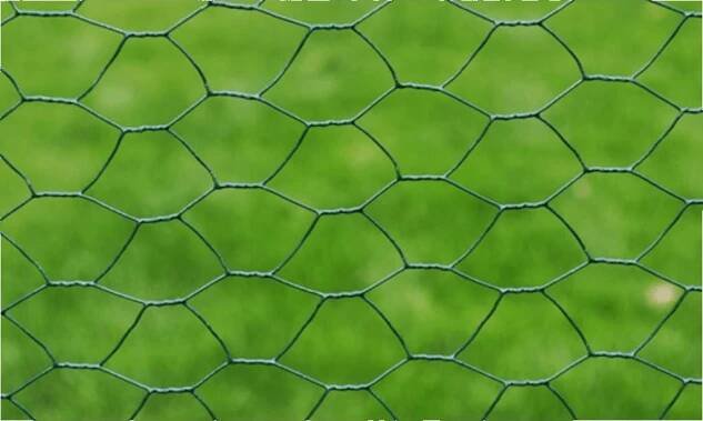 Pletivo ke kurníku 140405 s PVC vrstvou zelené 0,7 x 25 mm 0,5 x 25 m