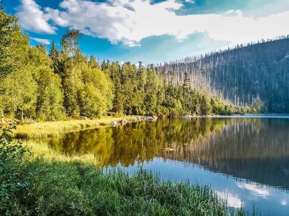 Černé Jezero, Šumava