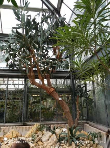 Botanická zahrada | ZŠ Mendelova