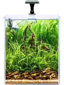 Akvárium INVITAL Shrimp LED akvarijní set 30l