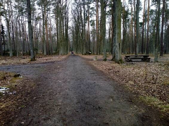 Temný Branišovský les: Duchy nenašli, hřbitov zvířátek ano
