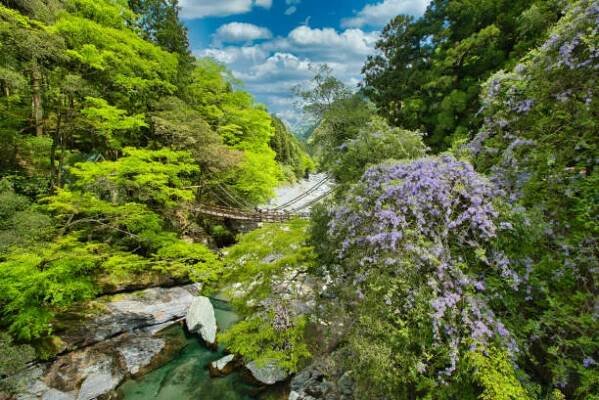japonsko neprozkoumaná oblast tokušima iya - iya valley - stock snímky, obrázky a fotky