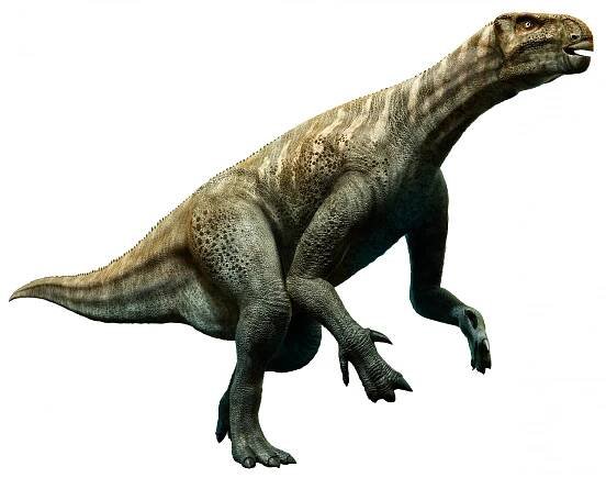 Iguanodon (3D rekonstrukce) – Warpaint / Shutterstock