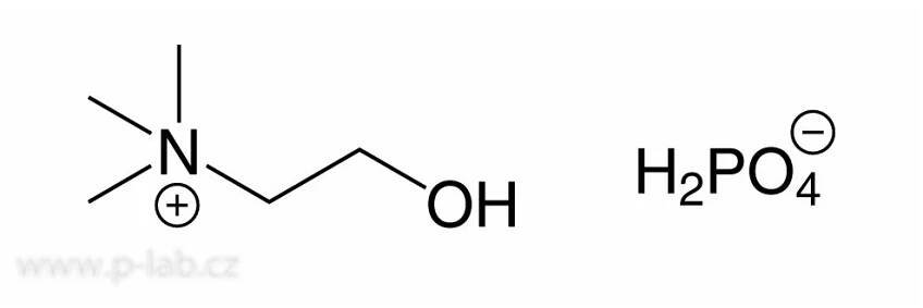 CHOLIN DIHYDROGENFOSFÁT | P-LAB