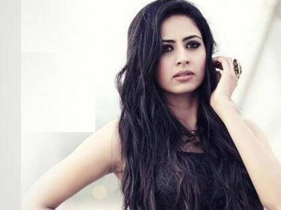 SARGUN MEHTA : THE MULTI-TALENTED PERSONALITY RISING IN POLLYWOOD