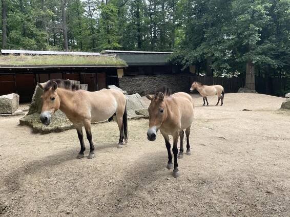 Zoologická a botanická zahrada Liberec | Slevomat.cz