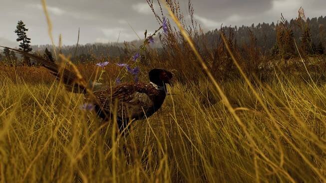 Way of the Hunter - hry.seznam.cz