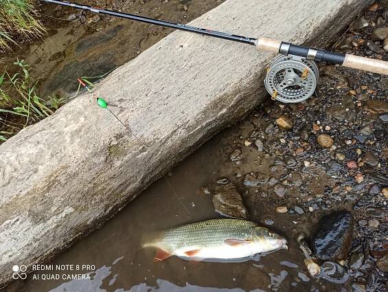 Anglingtackle.cz - MIDDY | YUKI Competition | YUKI-SEAGUAR | HJG-DRESCHER| RINGERS