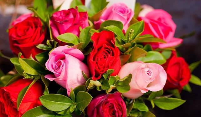 Řeč květů: Komu darovat žluté růže, komu bílé lilie? | Hello Tesco