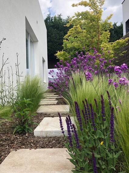 a garden with purple flowers and green plants next to a white building on a cloudy day