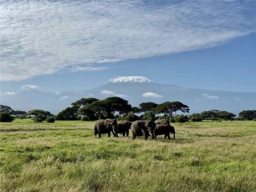 Keňa, Tanzánie - Pohodový týden pod nejvyšší horou Afriky – Kilimanjaro - 2024/25 - CK Poznání 