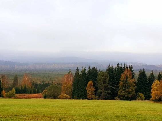 Údolí Mrtvého luhu - pronájem chalupy Volary - Chlum - foto 25