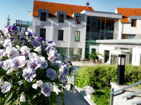 WELLNESS HOTEL DIAMANT - Prices & Reviews (Hluboka nad Vltavou, Czech Republic)