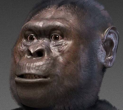 Slavíme padesátiny nálezu Etiopanky přezdívané „Lucy“