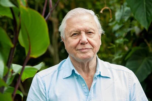News - Rainforest 4 Foundation