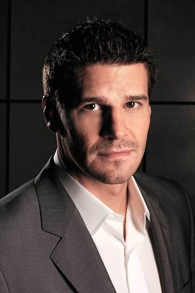 David Boreanaz herec