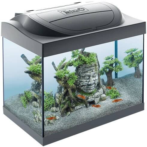 Akvárium Tetra Starter Line LED Crayfish 30l