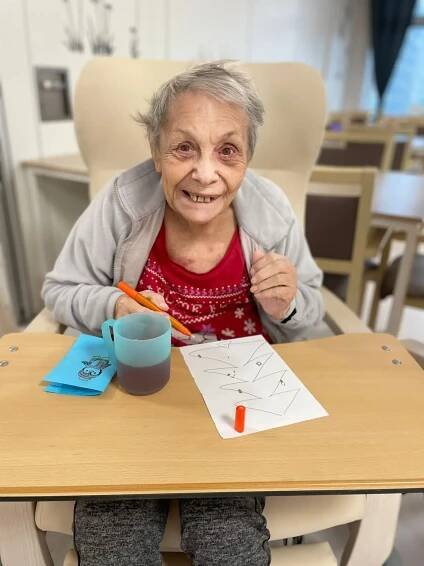 Gymnázium Česká Lípa | Alzheimer Home
