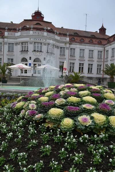 Karlovy Vary chtějí dát letos 20 milionů Kč na opravy v Alžbětiných lázních