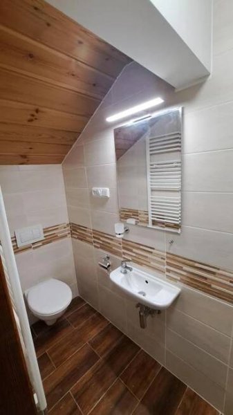 a bathroom with a toilet and a sink and a mirror at Chalupa u Uhříků in Rajnochovice