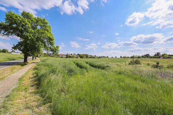 Prodej pozemky pro komerční výstavbu,  11768m2 - Plzeň - Doudlevce, obrázek č. 2